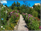 foto Giardini Trauttmansdorff - Paesaggi dell'Alto Adige